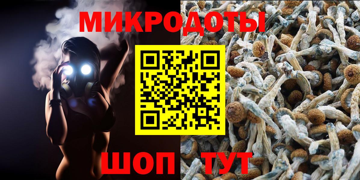 Псилоцибиновые грибы мухоморы Дедовск