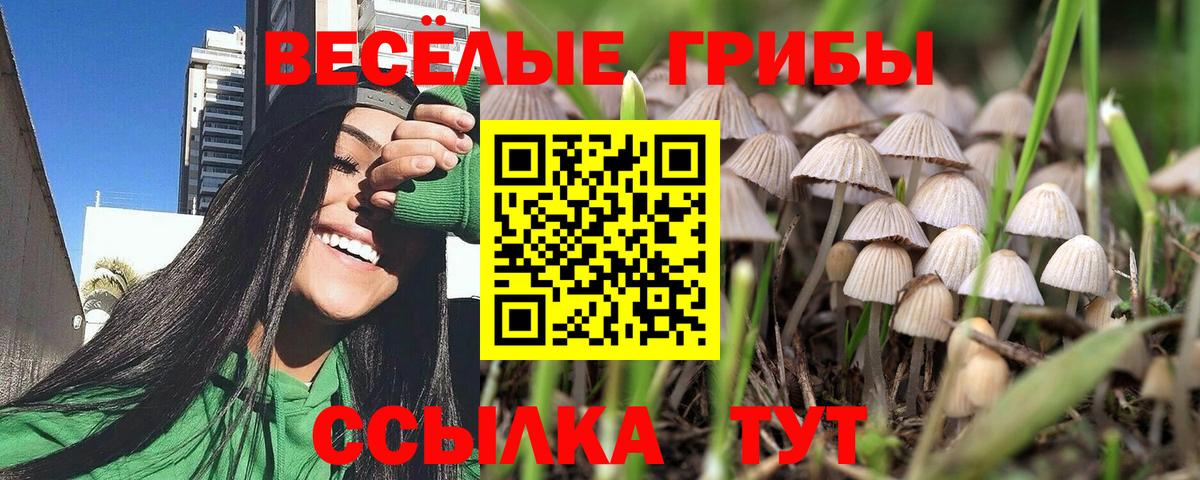 Псилоцибиновые грибы GOLDEN TEACHER  Псилоцибиновые грибы Psilocybine cubensis  Дедовск  Вход с VPN 